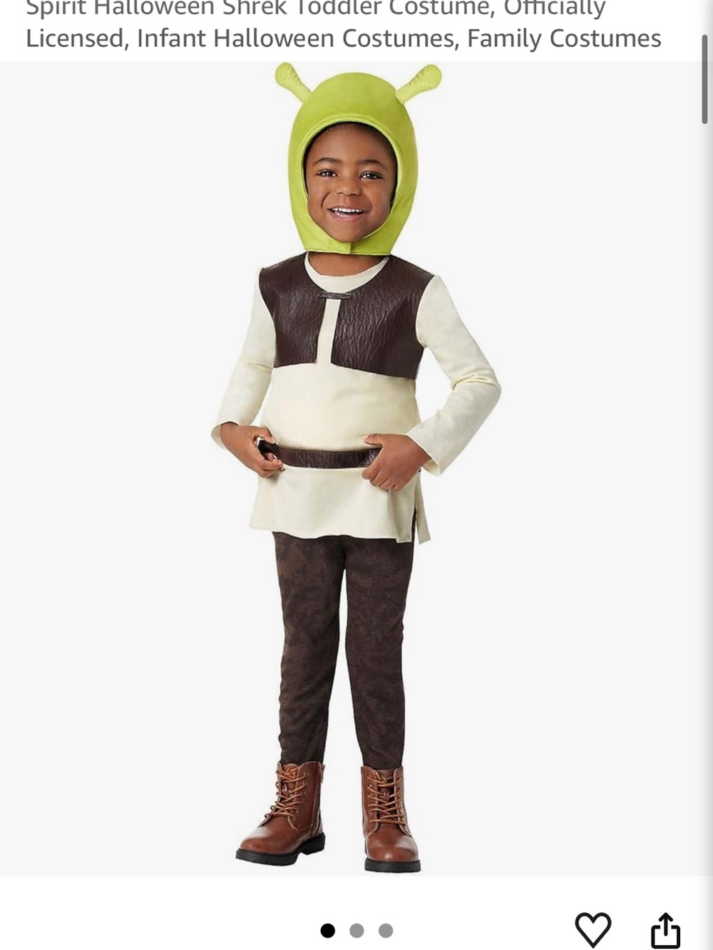 Kids Shrek costume